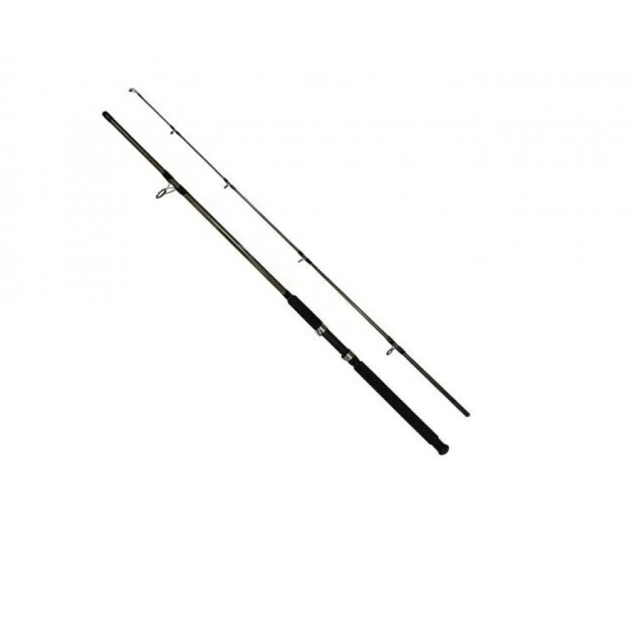 Спиннинг 100 300. Спиннинг штекерный Black arrow Cod Pilk c.w.100-300g 3м. Kaida Black arrow. Спиннинг ДОЮЙ. Спиннинг Kaida Kingfisher.