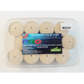 Техноплантон №1