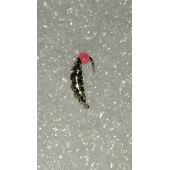 Мормышка серебро гусеница 0,2гр (и.-м. 1024162)