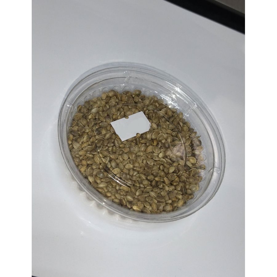 купить Семя конопли-0