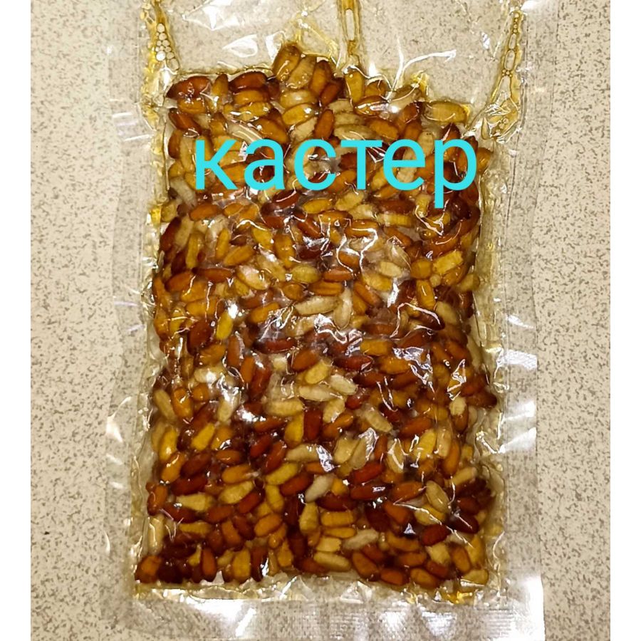 Кастер-0